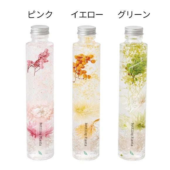 ハーバリウム ラディアントデイジー BP-18114 プリザーブドフラワー 花