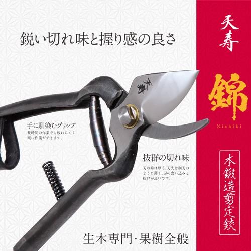剪定鋏 津軽型 本鍛造 錦 190mm 天寿刃物 剪定ばさみ 剪定ハサミ