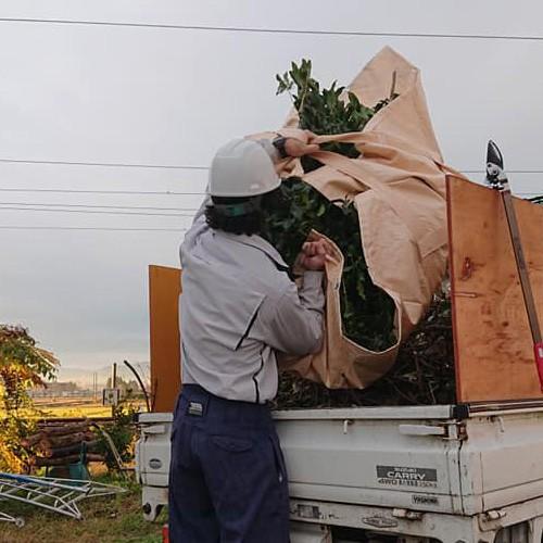 植木屋 掃除用シート 10枚入 1800mm 1800mm 植芳 庭師 庭 そうじ 草刈り 剪定 枝 葉 ゴミ 造園 農作業 丈夫 しっかり 長持ち Kz おしゃれ農作業着専門店エフィルス 通販 Yahoo ショッピング