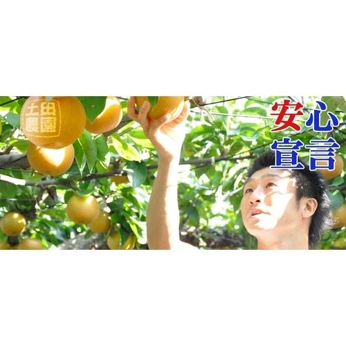 贈答用 洋梨 ル・レクチェ カービングコンポート 新潟県 三条市 国産 贈り物 贈呈 お歳暮 お中元 ギフト プレゼント 果物 果実 フルーツ 産直|efiluz|07