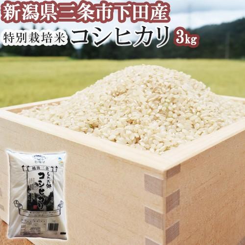 米 お米 コシヒカリ 3kg 新潟県 三条市 下田産 特別栽培米 道の 米 お米 コシヒカリ 3kg 新潟県 三条市 下田産 特別栽培米 道の