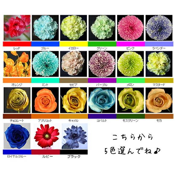 Fantasy 切り花着色剤 1L 7本セット 切花着色剤ファンタジー 1L お得な選べる4本セット パレス化学 生花