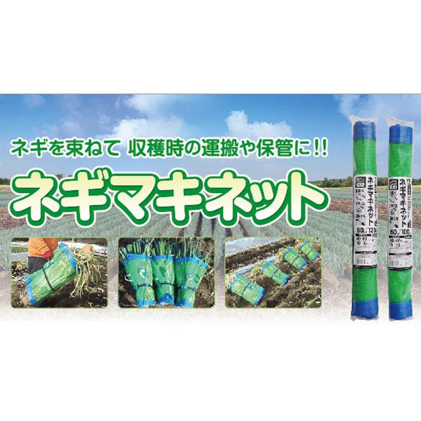 ネギマキネット 60×125cm Lタイプ 日本マタイ 葱 収穫 運搬 保管 ネギ
