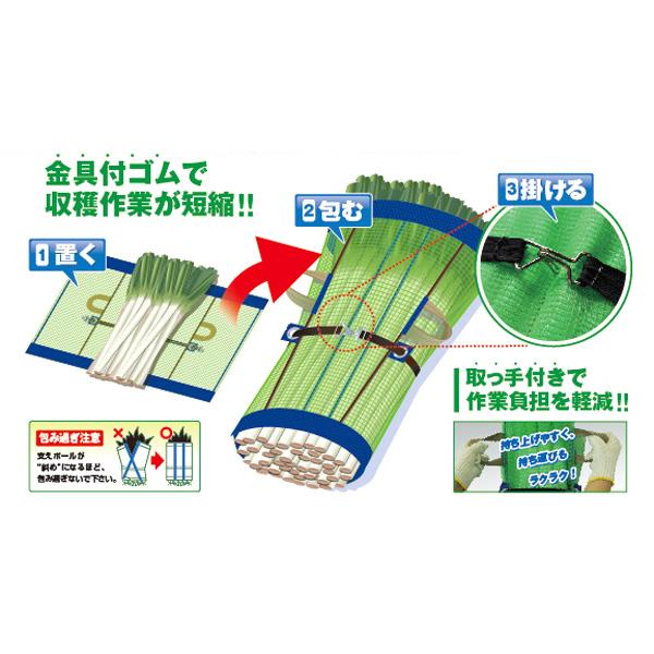 ネギマキネット 60×125cm Lタイプ 日本マタイ 葱 収穫 運搬 保管 ネギ