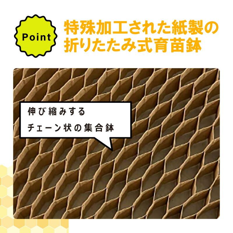 LPチェーンポット LP303-15 75冊（個）株間15cm 264鉢 紙筒 ペーパー