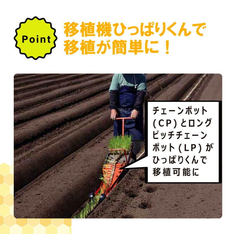 75冊入 2箱 LPチェーンポット LP303-15 264鉢 株間15cm 紙筒 ペーパー