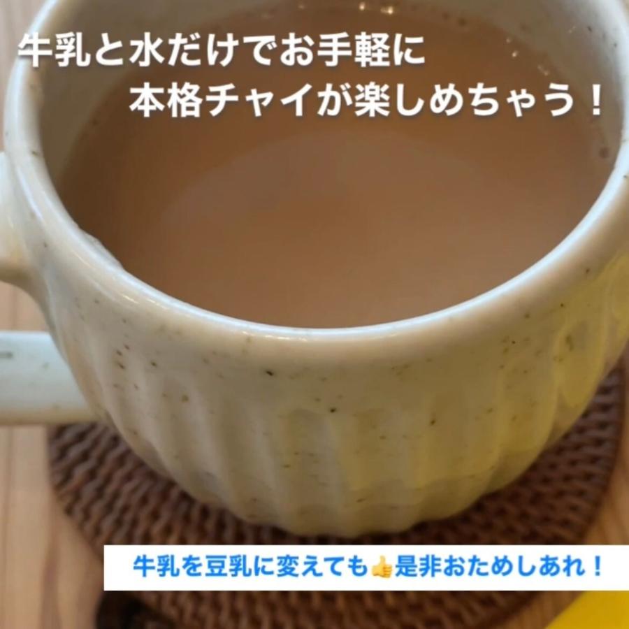 FATCAMP チャイスパイス　３点セット【2杯分×6P】 |  | 02