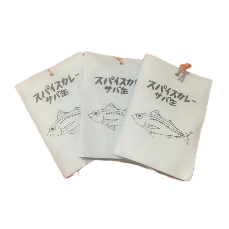 FATCAMP スパイスカレーサバ缶【約4杯分】３セット | 