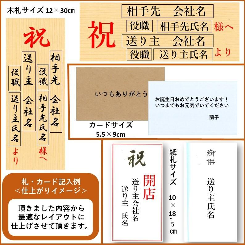 胡蝶蘭 ギフト お祝い 就任祝い 大輪 ホワイトロッキー 5本立 ロング 金賞 都内配送限定 昇進祝い 叙勲 開業 開院 竣工 開店 東京 丸の内 大手町 日比谷 B5fwl フラワーショップエフラ 通販 Yahoo ショッピング