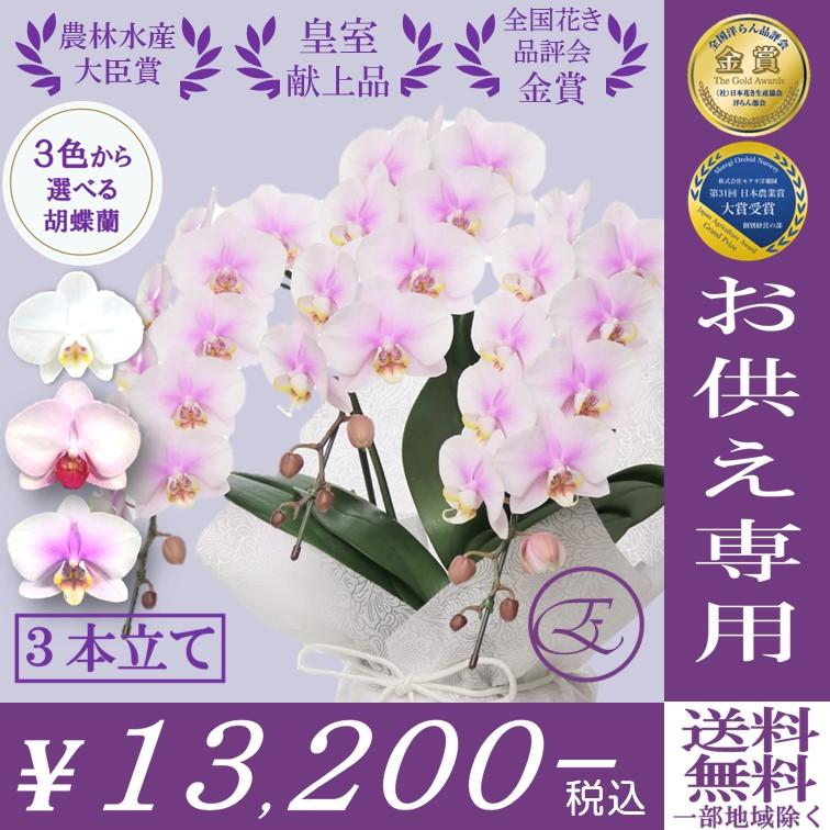 胡蝶蘭 お悔み お供え 専用 3本立 選べる ３色 ラッピング付き 仏前 供養 お盆 喪中はがき ミディ モテギ洋蘭園産 Eraberu Osonae21 3 フラワーショップエフラ 通販 Yahoo ショッピング
