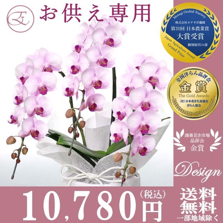 在庫一掃 胡蝶蘭 お悔やみ お供え 専用 お盆 初盆 新盆 ミディ胡蝶蘭 アヤ モモ 3本立 仏前 供養 霊前 ラッピング付き 喪中はがき Ma 04 2 柔らかい Jeannesauve Org