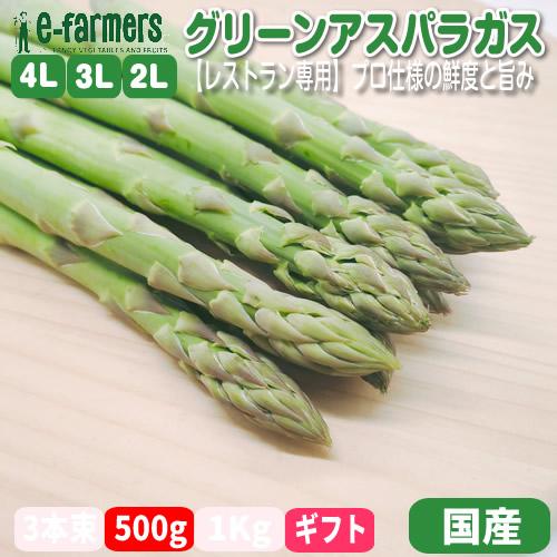 【レストラン専用】極太グリーンアスパラ ５００ｇ以上 4L〜Lサイズ選べる規格 プロ仕様の鮮度と旨み 国産 | 