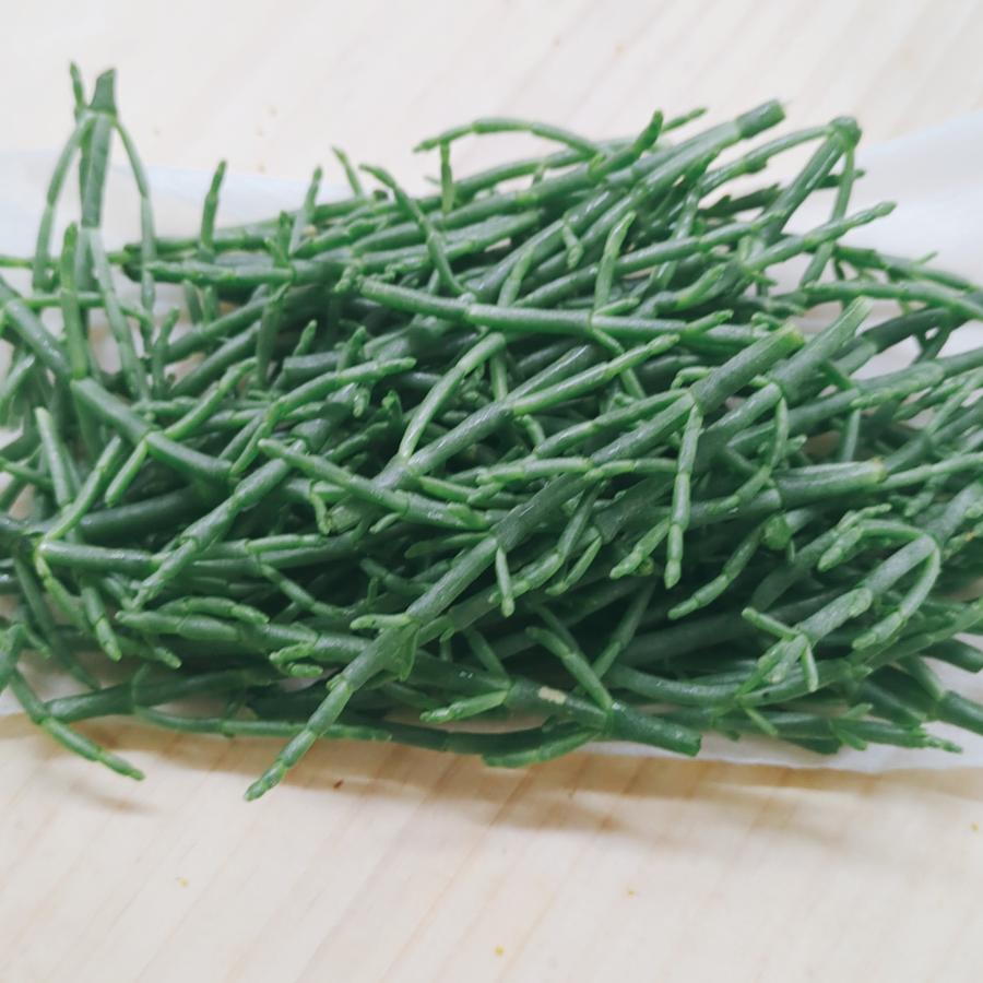 シーアスパラガス | 厚岸草 珍しい野菜 新感覚 シャキシャキ 天然の塩味 ミネラル豊富 生サラダ 福岡県産 |  | 01