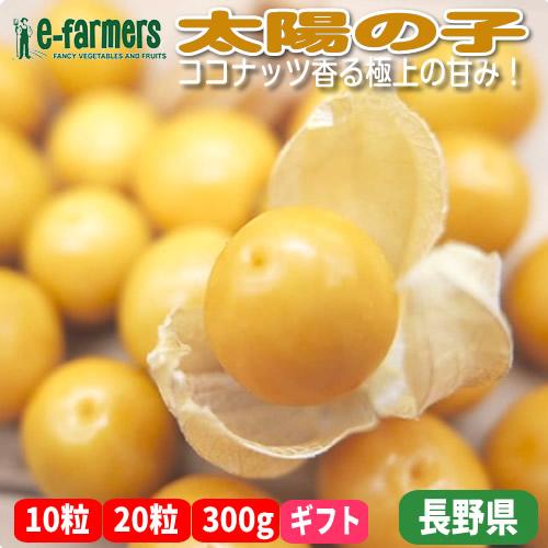 太陽の子 | トロピカルフルーツのような甘酸っぱさのフルーツほおずき 長野県白馬村産 | 