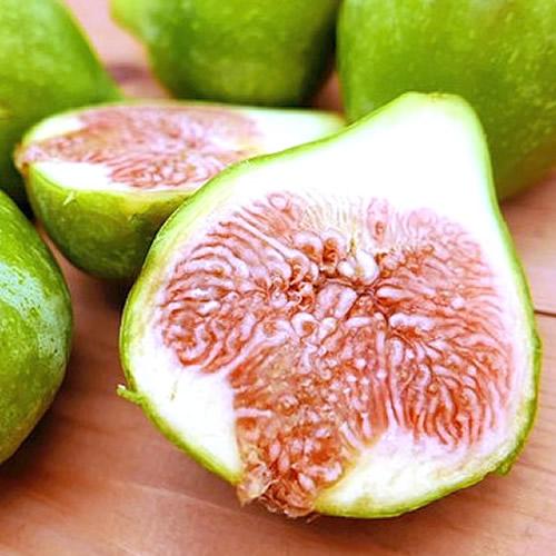 青いちじく キング | いちじく 幻のイチジク 熟練バイヤー厳選 夏のギフト 佐賀県産 |  | 02