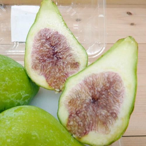 青いちじく キング | いちじく 幻のイチジク 熟練バイヤー厳選 夏のギフト 佐賀県産 |  | 04