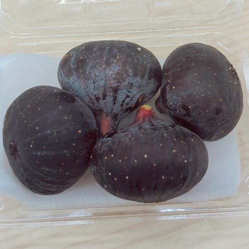 ビオレソリエス 秀品 | 【幻の黒いちじく】国内元祖 蜜のように濃厚！ 生の極上食感＆贅沢ドライセット 佐賀県産 |  | 07