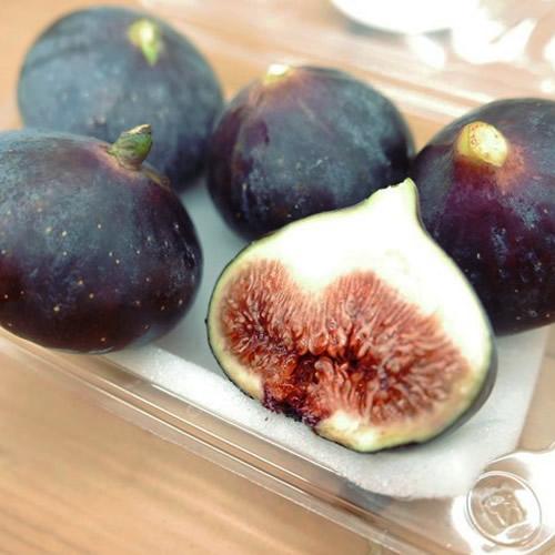 ビオレソリエス 秀品 | 【幻の黒いちじく】国内元祖 蜜のように濃厚！ 生の極上食感＆贅沢ドライセット 佐賀県産 |  | 08