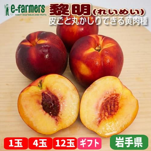 ネクタリン 黎明(れいめい) | 甘みと酸味が濃厚！皮ごと丸かじりできる黄肉種 岩手県産 | 