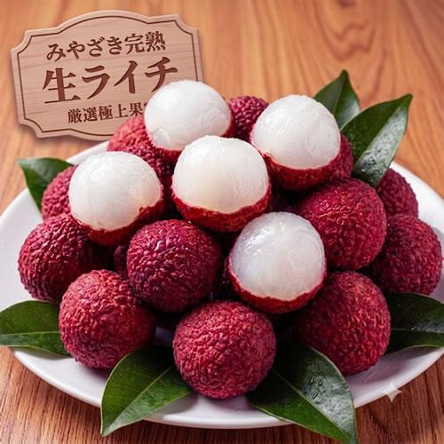 みやざき完熟生ライチ | 大玉・特選  樹上完熟 ジューシー  高級生ライチ ギフト プレゼント お中元 冷蔵配送 宮崎県産 |  | 04