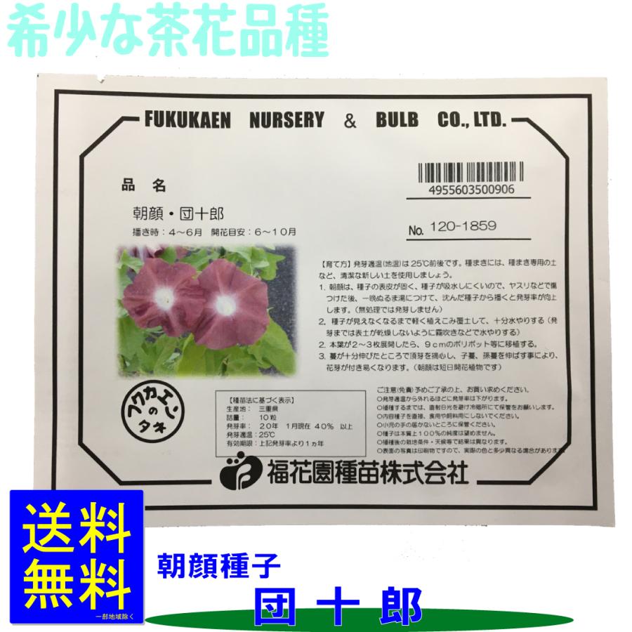 朝顔 団十郎 種子10粒詰 : ロイヤル福花園 Yahoo!店 - 通販 - Yahoo
