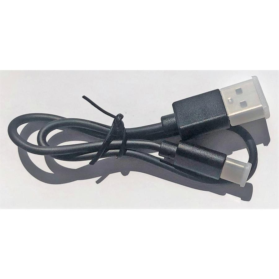 DIESEL TWS サポート販売用充電ケーブル(TYPE-C) | 