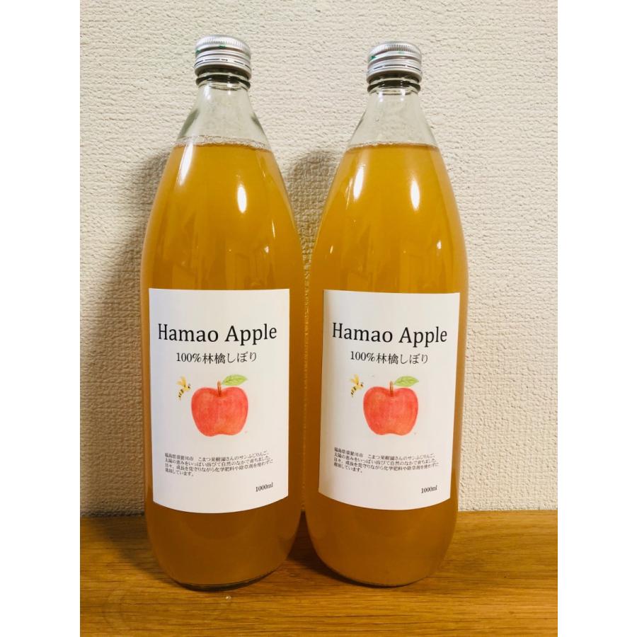 100 林檎しぼり 1000ml 2本入 瓶 浜尾のりんご サンふじ ストレート 無添加 一部地域 送料無料 Hrj 001 えがお福島 通販 Yahoo ショッピング