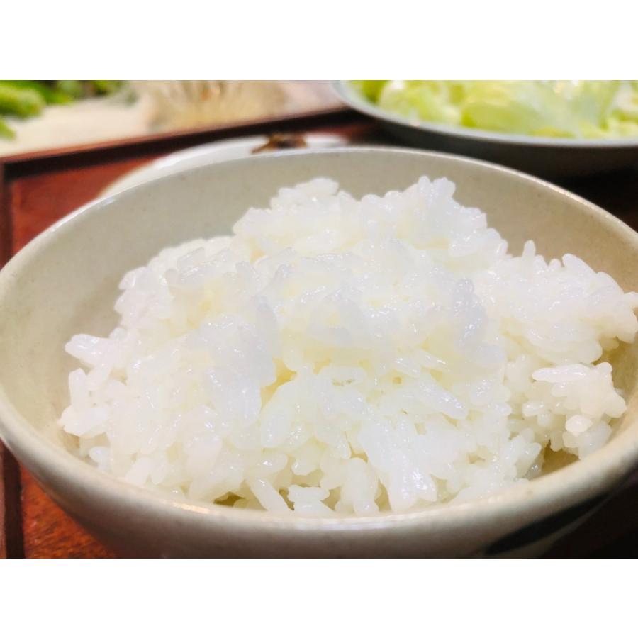 米 10kg 白米 精米 コシヒカリ 単一米 こしひかり 福島県産 令和7年産