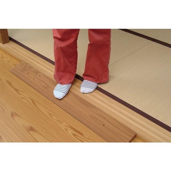 安寿 段差スロープEVA1000 #50（4.5cm〜5.4cmの段差に対応）（アロン