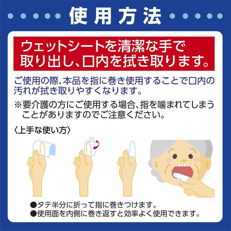 （ケース販売）口内清掃ウェットシート ボトルタイプ 100枚入×15本（白十字）46396_2