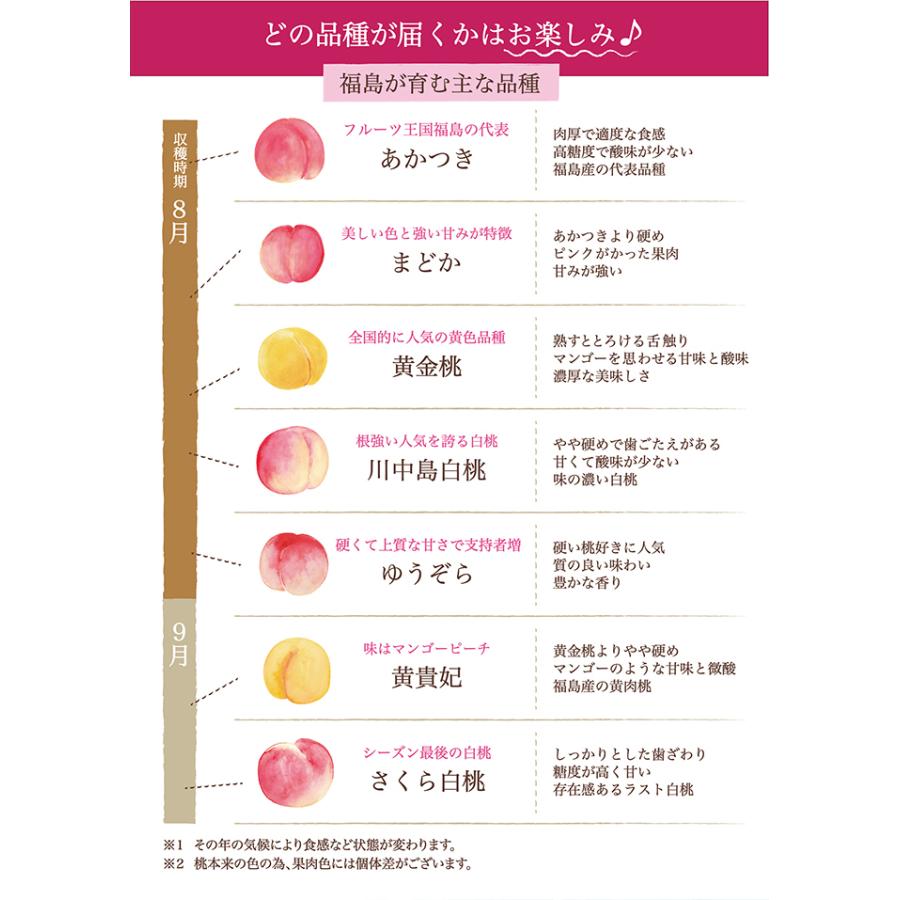 （産地直送）ももふる ご家庭用おまかせ5個セット ももがある 新感覚スイーツシャーベット *　福島県　送料無料　お土産　贈答品　無添加　無着色 (クール便)｜egao-ichiba｜08