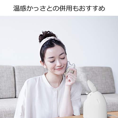 代引き手数料無料パナソニック スチーマー ナノケア EH-SA3B-N