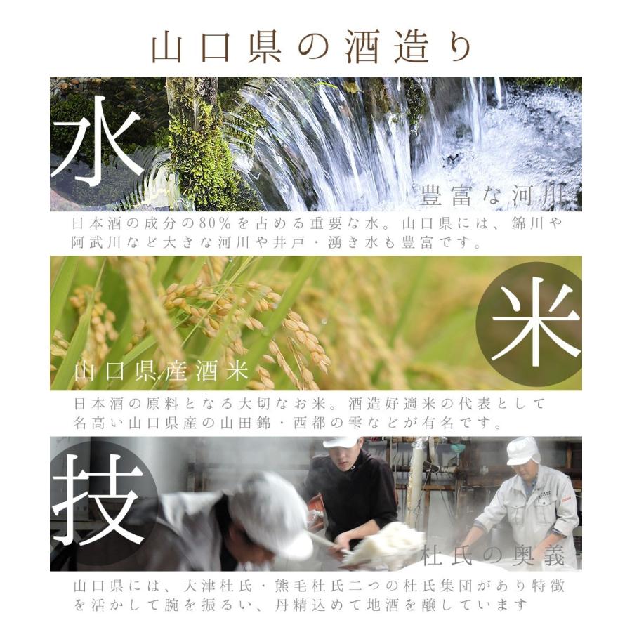 お酒 飲み比べ 山口銘酒 飲み比べセット 300ml5本 送料無料 日本酒