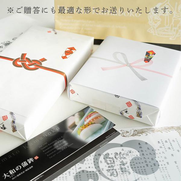 かまぼこ 大和蒲鉾 おすすめセット 5個入 送料無料 山口 焼き抜き