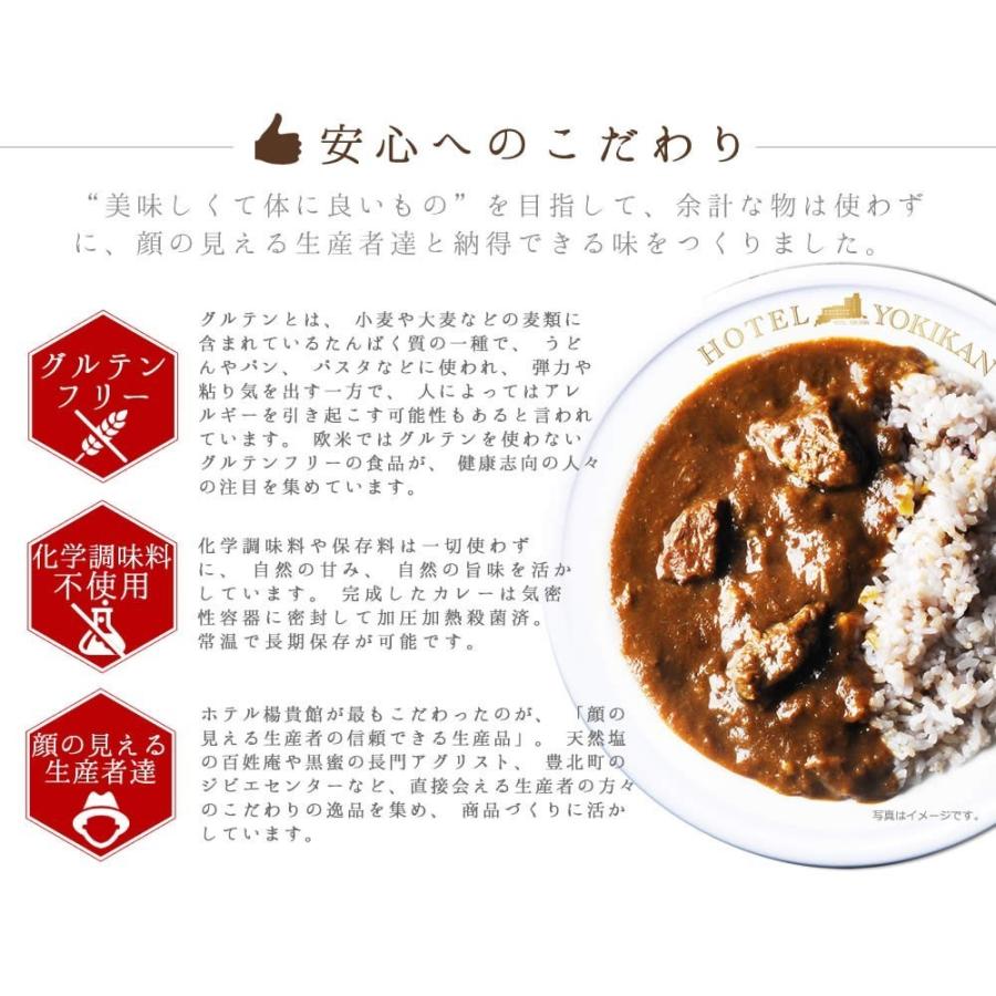 カレー 送料無料 ホテル楊貴館 こだわりジビエカレー １パック レトルトカレー お試し ポイント消化 Yoki Gbcy 1p 笑顔セレクト 通販 Yahoo ショッピング