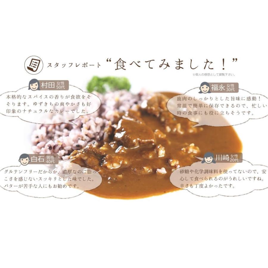 カレー 送料無料 ホテル楊貴館 こだわりジビエカレー ２パック レトルトカレーお試し ポイント消化｜egao-select｜06