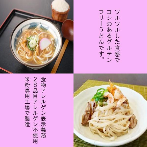 小林生製麵グルテンフリー白米うどんタイプ＆グルテンフリーめんつゆ各４袋