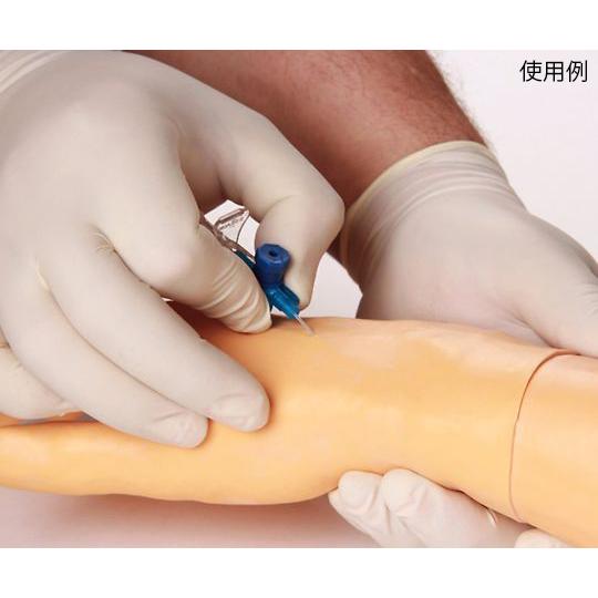 けっかんくんⅡ (採血・点滴練習キット) けっかんくんⅡ (採血・点滴練習キット)