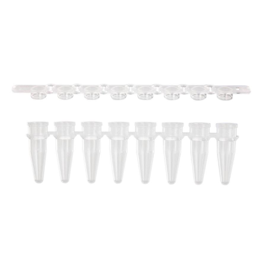 メール便なら送料無料 Pcrストリップチューブ キャップ 1250本入 Pcr 08 Cp C 売り切れ必至 Www Njhr Com Pk