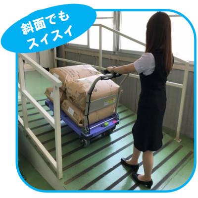 ナンシン 電動台車サイレントマスターAS DSK-AS361B2 : GAOS ナンシン 電動台車サイレントマスターAS DSK-AS361B2 : GAOS