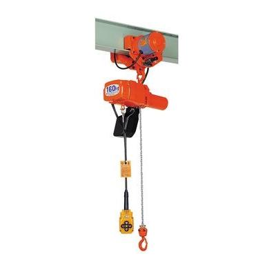 象印 単100電気トロリ式電気チェーンブロック アルフアSM-016-6M(ASM-K1660)