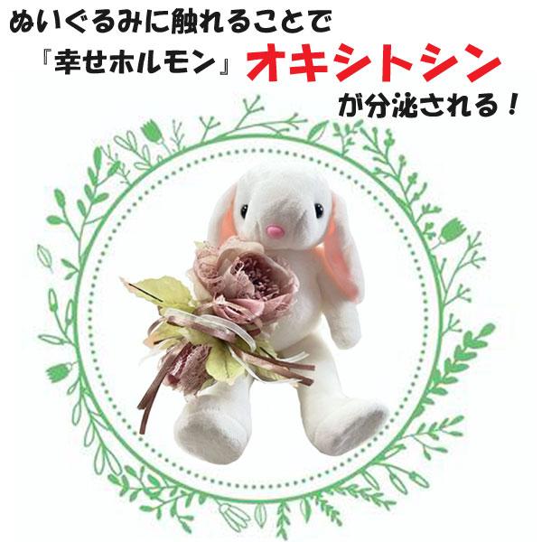 ヨガ ぬいぐるみ ヨガアニマル 知育ぬいぐるみ 手と頭の体操 うさぎ