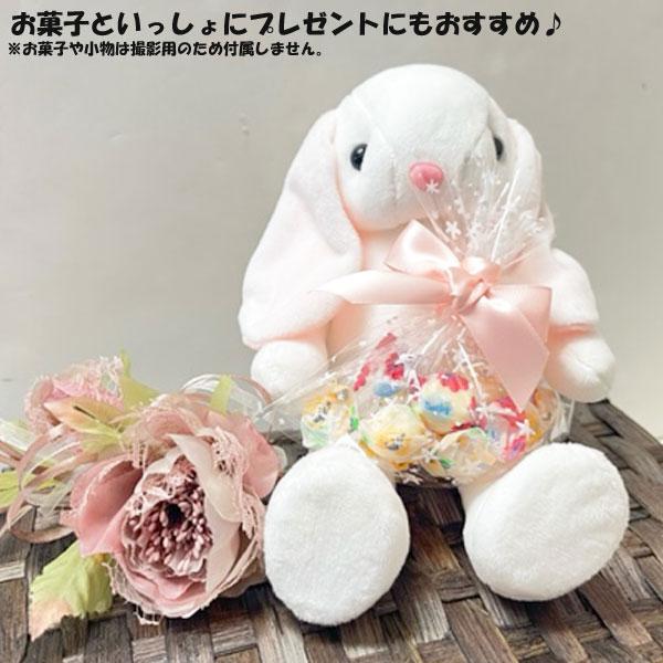 ヨガ ぬいぐるみ ヨガアニマル 知育ぬいぐるみ 手と頭の体操 うさぎ