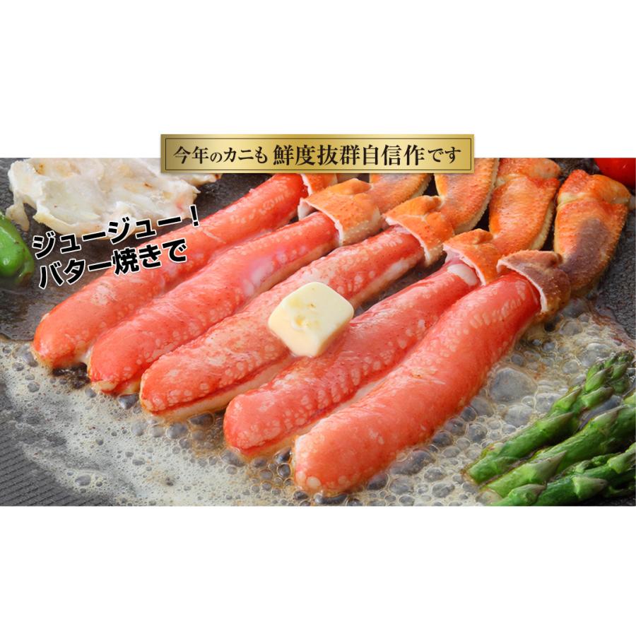 カニさん専用 お刺身OK！特大3L～4L超☆生本ズワイガニ総重量3kg「かにしゃぶ