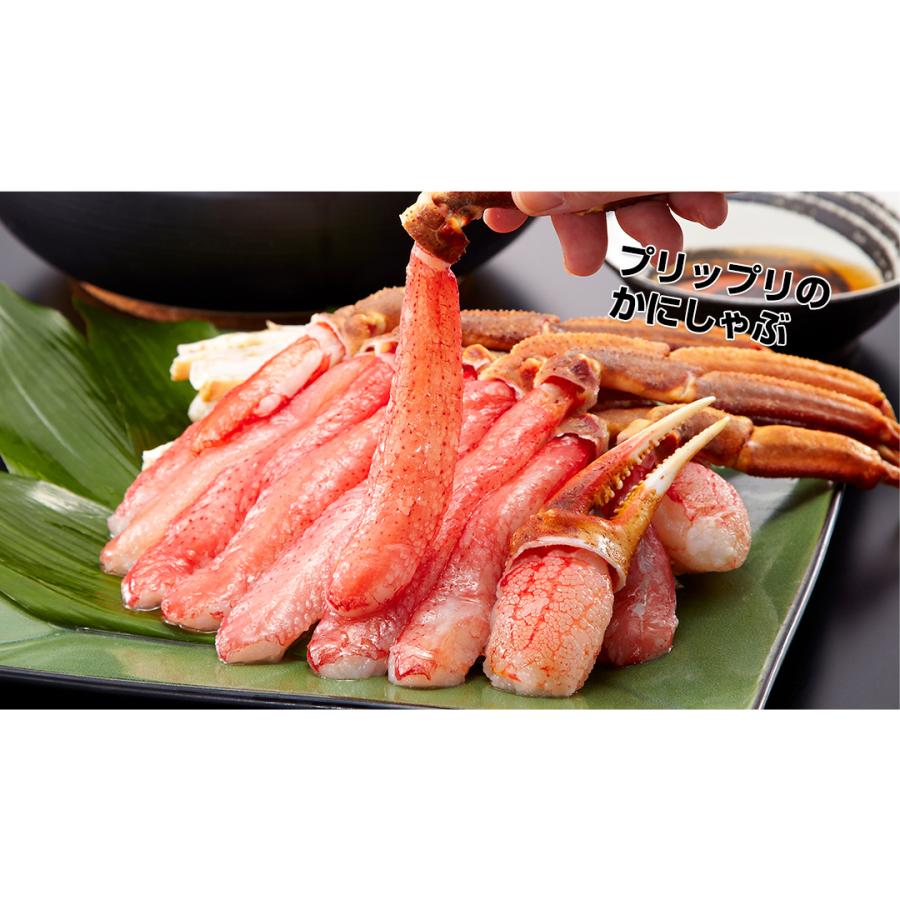 かに カニ 蟹 ズワイガニ | 3L〜2L生ずわい蟹「かにしゃぶ」むき身満足