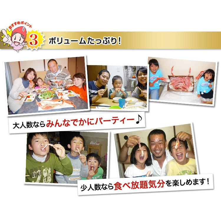 かに カニ 蟹 ズワイ蟹 ずわい蟹 ずわい蟹 ズワイガニ | ★★最安値に挑戦中！★★ 2Lボイルずわい肩脚20〜26肩(総重量約5kg) | ブランド登録なし | 10