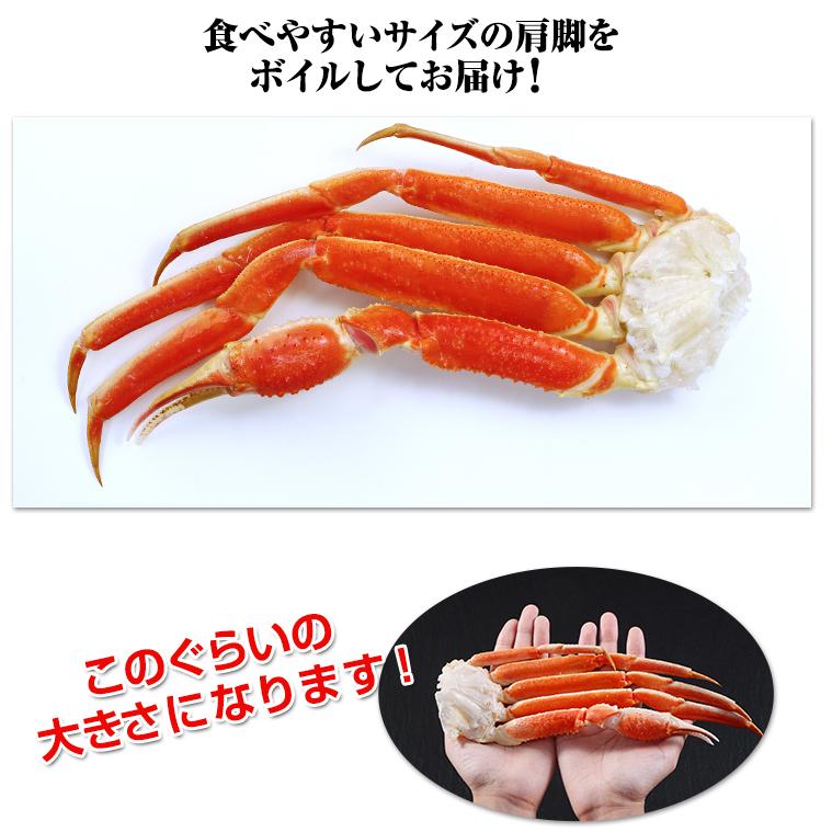 かに カニ 蟹 ズワイ蟹 ずわい蟹 ずわい蟹 ズワイガニ | ★★最安値に挑戦中！★★ 2Lボイルずわい肩脚20〜26肩(総重量約5kg) | ブランド登録なし | 05
