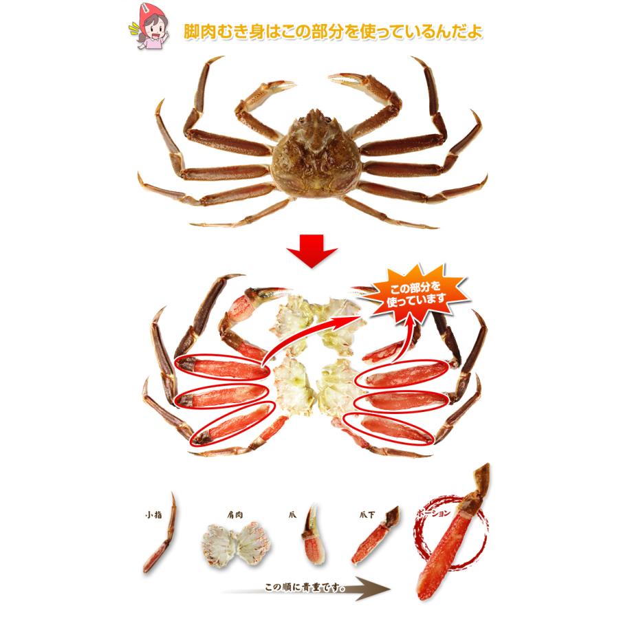 かに カニ 蟹 ズワイガニ ポーション かにしゃぶ |【刺身用】2Ｌ〜Ｌ生ずわい脚肉むき身42〜60本（約１kg）【送料無料】 | ブランド登録なし | 04