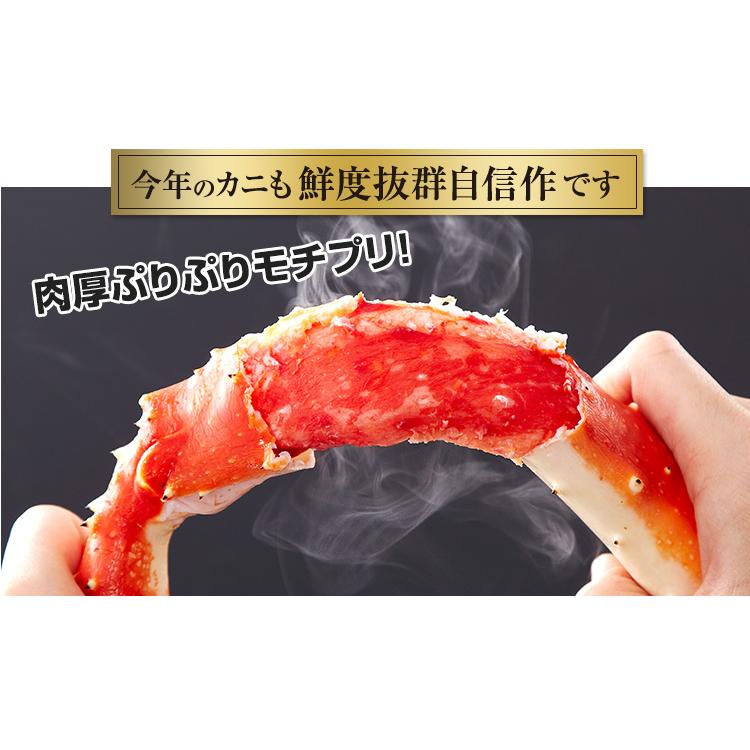 かに カニ 蟹 タラバガニ たらば蟹 | 特大5Lボイルたらばがに肩脚1肩(総重量約1.3kg)　【送料無料】 | ブランド登録なし | 02