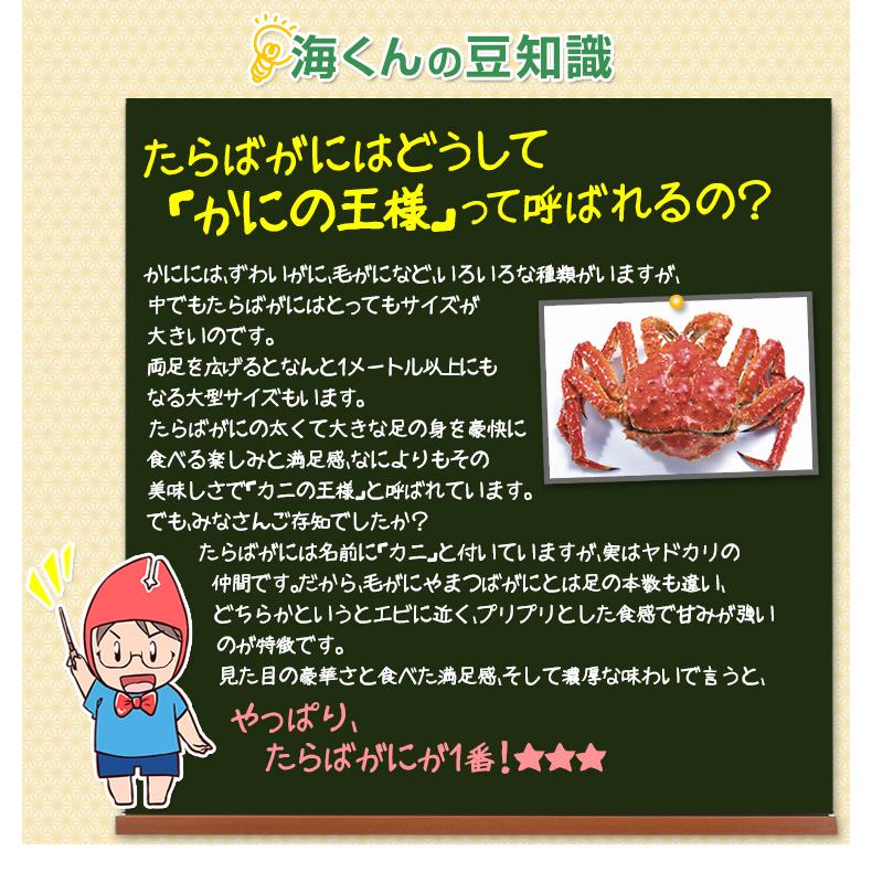 かに カニ 蟹 タラバガニ たらば蟹 | 特大5Lボイルたらばがに肩脚1肩(総重量約1.3kg)　【送料無料】 | ブランド登録なし | 11